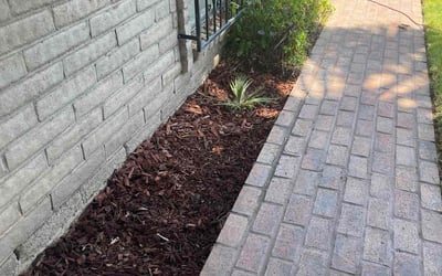Photo of Steven T.'s yard after getting landscaping in Anthony, TX