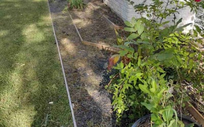 Photo of Chad M.'s yard after getting landscaping in Lockhart, TX
