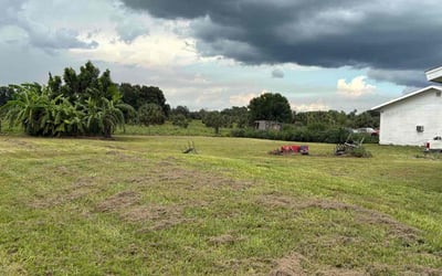 Photo of Chelsea M.'s yard after getting landscaping in Fort Myers, FL