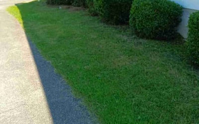 Photo of Nick P.'s yard after getting landscaping in Forsyth, GA