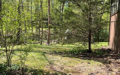 Photo of Pamela W.'s yard after getting landscaping in La Grange, KY