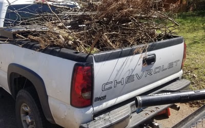 Photo of Richard S.'s yard after getting landscaping in Newalla, OK