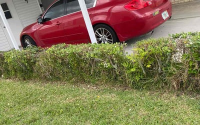 Photo of James M.'s yard after getting landscaping in Zephyrhills, FL