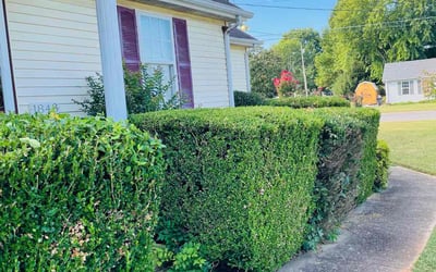Photo of TIFFANY M.'s yard after getting landscaping in Carthage, TN