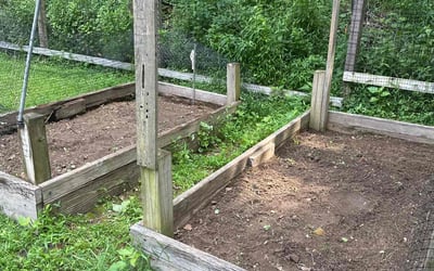 Photo of Donald G.'s yard after getting landscaping in Bethlehem, PA