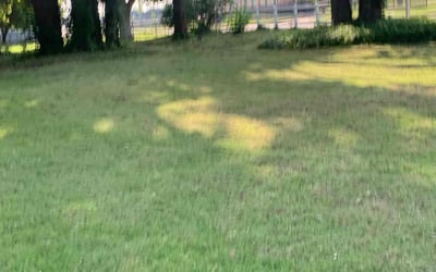 Photo of Patrick S.'s yard after getting landscaping in Oklahoma City, OK