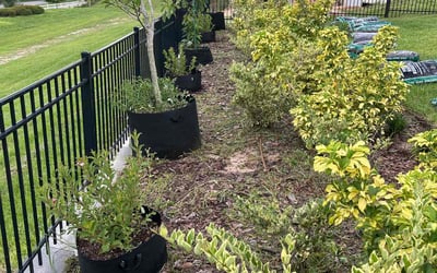 Photo of John D.'s yard after getting landscaping in Montverde, FL