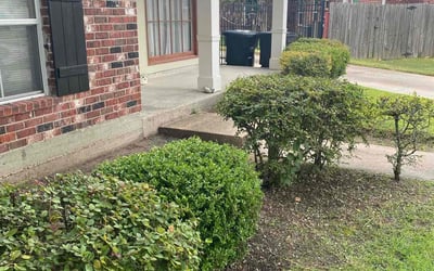 Photo of Ruby W.'s yard after getting landscaping in Clinton, LA