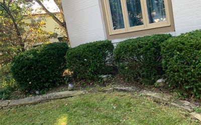Photo of Susan M.'s yard after getting landscaping in Thornville, OH