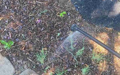 Photo of Eric S.'s yard after getting landscaping in Cartersville, GA
