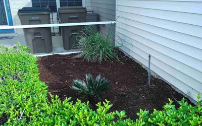 Photo of Paul S.'s yard after getting landscaping in Leesburg, FL
