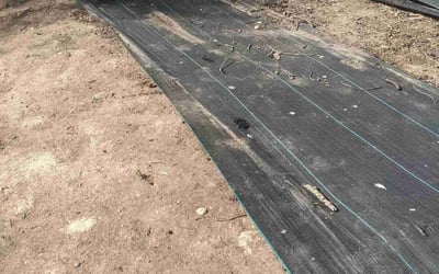 Photo of George S.'s yard after getting landscaping in Huntingtown, MD