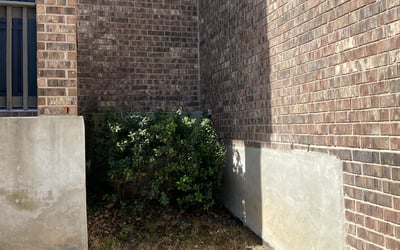 Photo of Michael F.'s yard after getting landscaping in Kendalia, TX