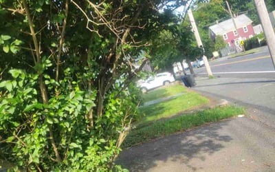 Photo of Alvyna E.'s yard after getting lawn care in Stoneham, MA
