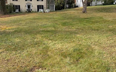 Photo of Margaret P.'s yard after getting landscaping in Gibsonville, NC