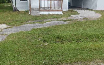 Photo of Daniela T.'s yard after getting tree care in Bartow, FL