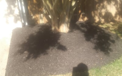 Photo of Laura D.'s yard after getting landscaping in Boyce, VA