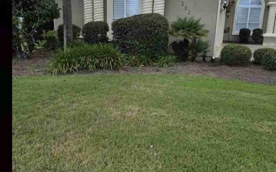 Photo of Dennis C.'s yard after getting landscaping in Panama City, FL