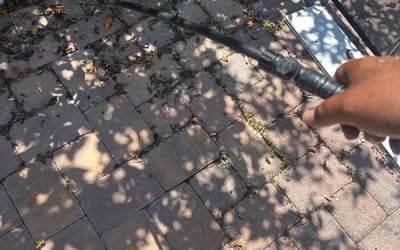 Photo of Ryan F.'s yard after getting tree care in Oldsmar, FL