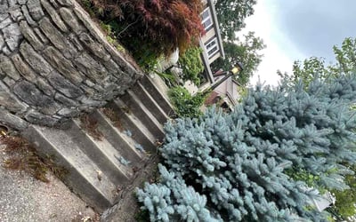 Photo of Amy M.'s yard after getting landscaping in Williamstown, KY