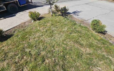 Photo of Bryan P.'s yard after getting landscaping in Middleton, ID