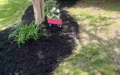 Photo of Annie M.'s yard after getting landscaping in Taylors, SC