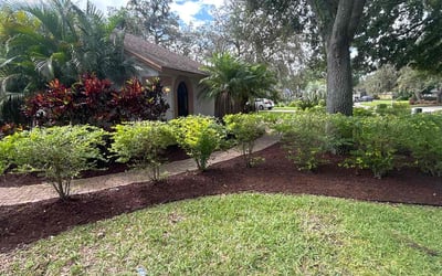 Photo of Gina B.'s yard after getting landscaping in Plant City, FL
