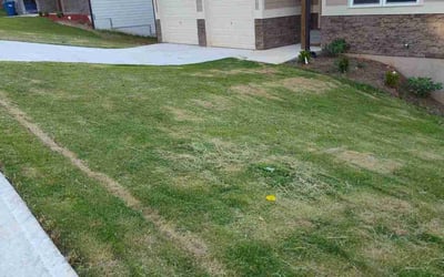 Photo of Donald R.'s yard after getting landscaping in Haralson, GA