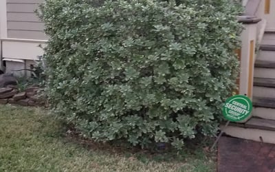 Photo of Allison S.'s yard after getting landscaping in Port Bolivar, TX