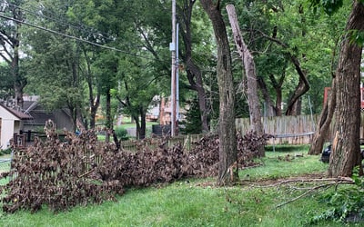 Photo of Brad H.'s yard after getting landscaping in Polo, MO
