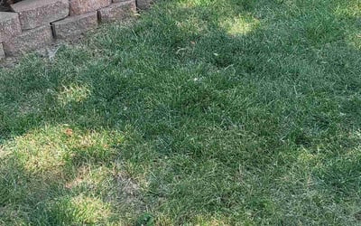 Photo of Sadie O.'s yard after getting landscaping in Archie, MO