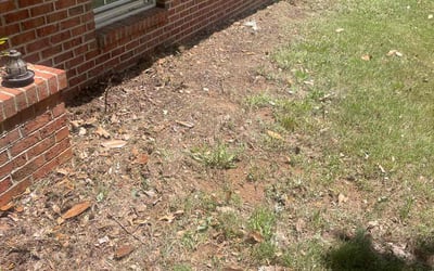 Photo of David K.'s yard after getting landscaping in Simpsonville, SC