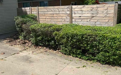 Photo of Larry S.'s yard after getting landscaping in Warren, MI
