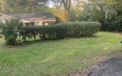 Photo of Tom H.'s yard after getting landscaping in Panacea, FL