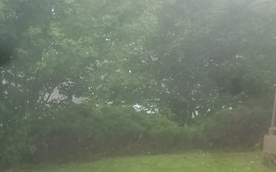 Photo of Jennifer T.'s yard after getting landscaping in Sandy, OR