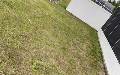 Photo of Scott S.'s yard after getting landscaping in Sun City, FL