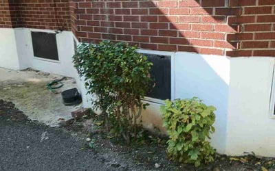 Photo of Carlenea K.'s yard after getting landscaping in Moores Hill, IN