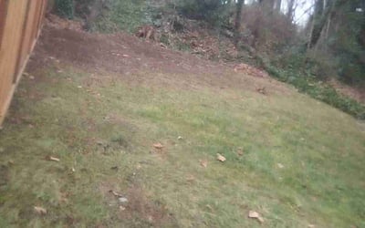 Photo of Gaylon C.'s yard after getting tree care in Veradale, WA