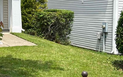 Photo of Mark B.'s yard after getting landscaping in Concord, NC