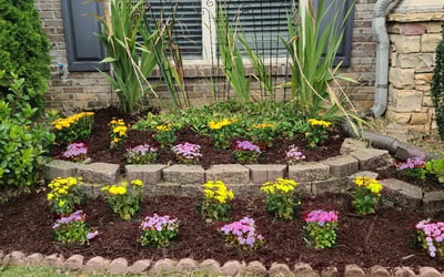 Photo of DEREK A.'s yard after getting landscaping in Bremen, GA