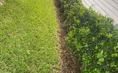 Photo of Sarah W.'s yard after getting landscaping in Saint Johns, FL
