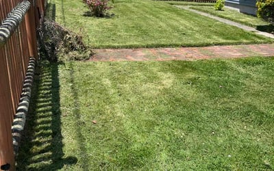 Photo of Will M.'s yard after getting landscaping in Mansfield, MA