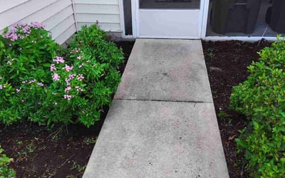 Photo of Shaneka J.'s yard after getting tree care in Casselberry, FL