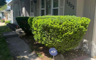 Photo of Barbara S.'s yard after getting tree care in Zion, IL