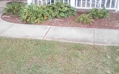 Photo of Lamar S.'s yard after getting landscaping in Mount Ulla, NC