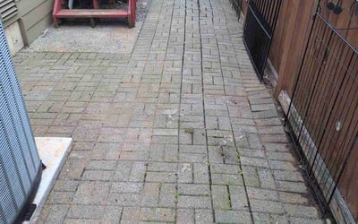 Photo of Stephanie A.'s yard after getting landscaping in Medina, WA