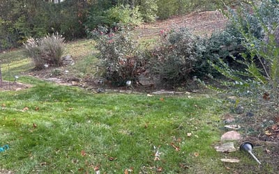 Photo of Stephanie R.'s yard after getting landscaping in Davidson, TN