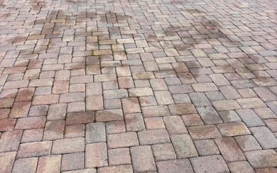 Photo of Samantha S.'s yard after getting landscaping in Englewood, FL