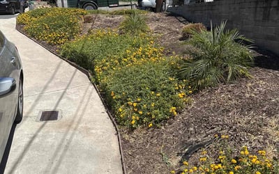 Photo of Barbara S.'s yard after getting landscaping in Spring Valley, CA