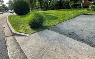 Photo of Michael D.'s yard after getting landscaping in Richardsville, VA